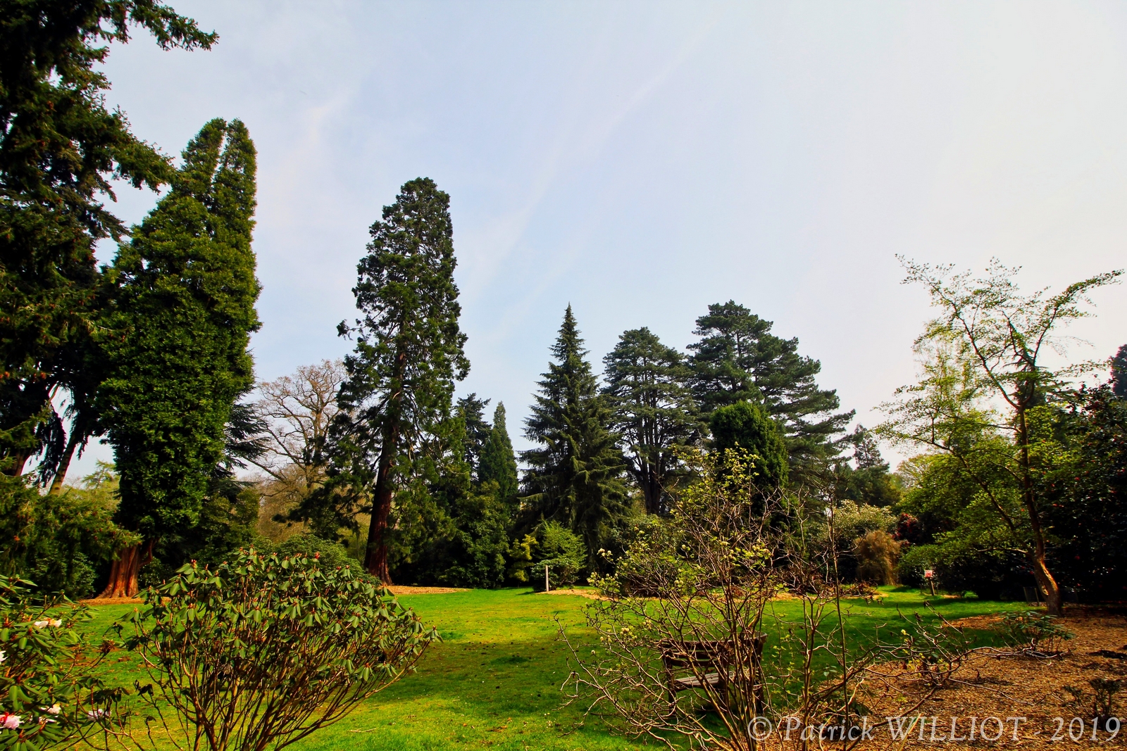 Harcourt Arboretum - Oxford University